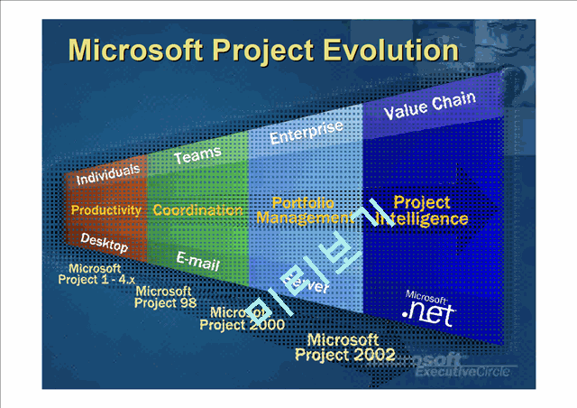 MICROSOFT EnterpriseProject   (4 )